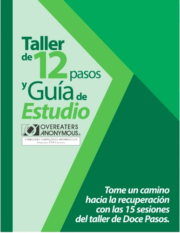 TALLER DE 12 PASOS Y GUIA DE ESTUDIO